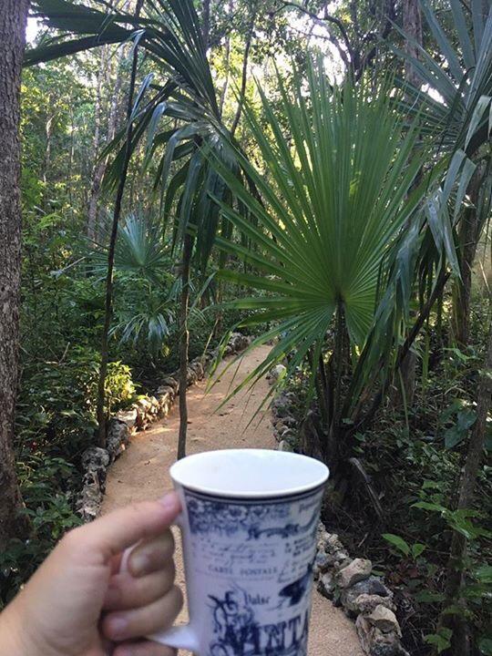Casa Tzalam Selva Bed and breakfast Tulum