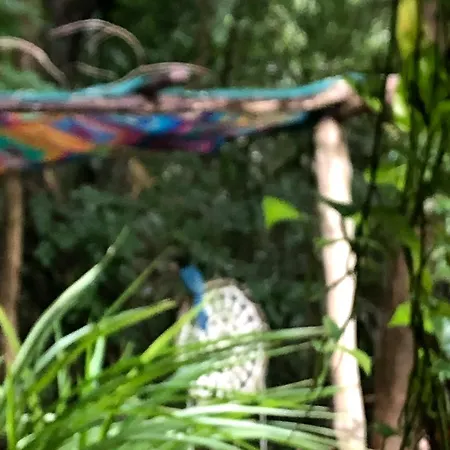 Casa Tzalam Tulum Selva Bed & Breakfast Exterior photo